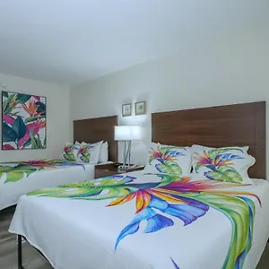 All-new, Private, Huge Tv, Heated Pool, Tiki Bar , Sarasota United States